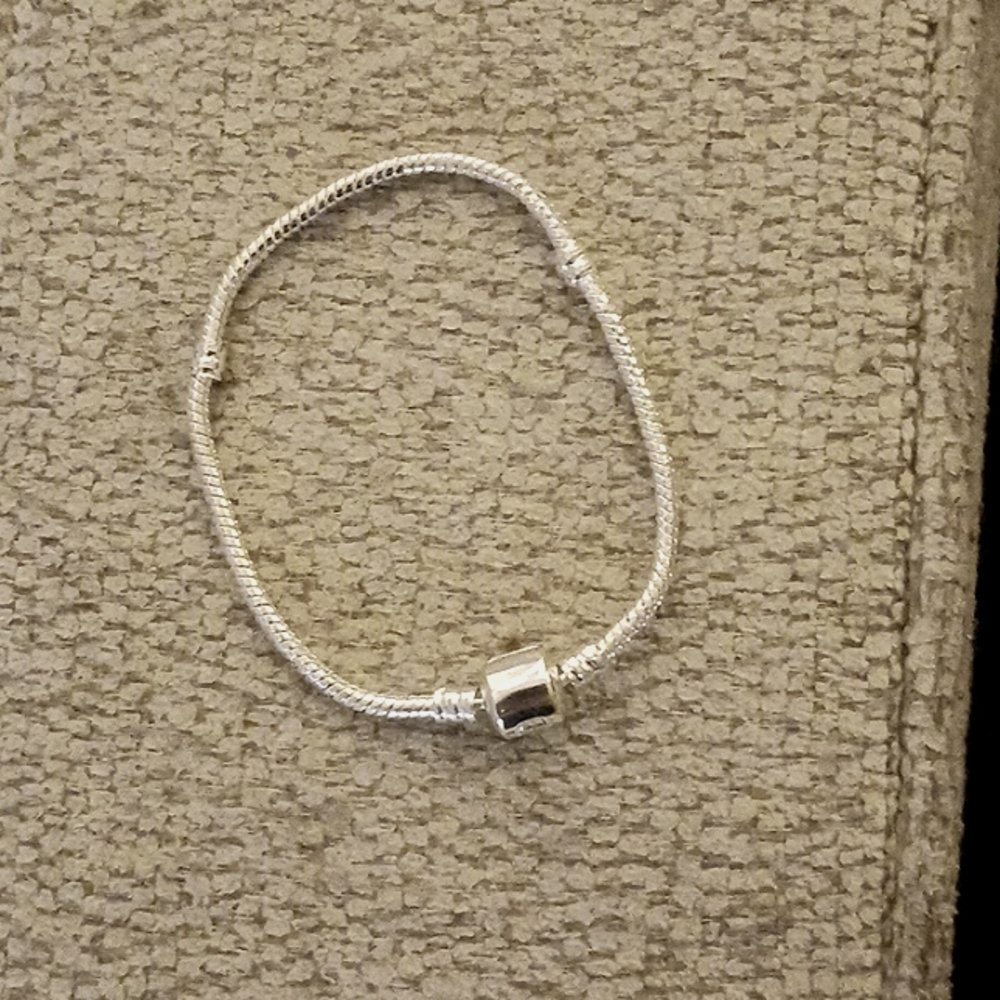 NEW SNAKE CHAIN CHARM BRACELET
